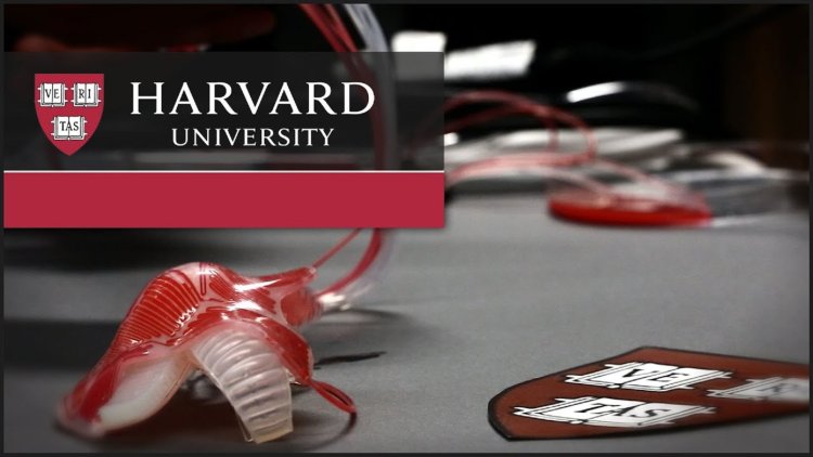 روبات زنبوری دانشگاه هاروارد