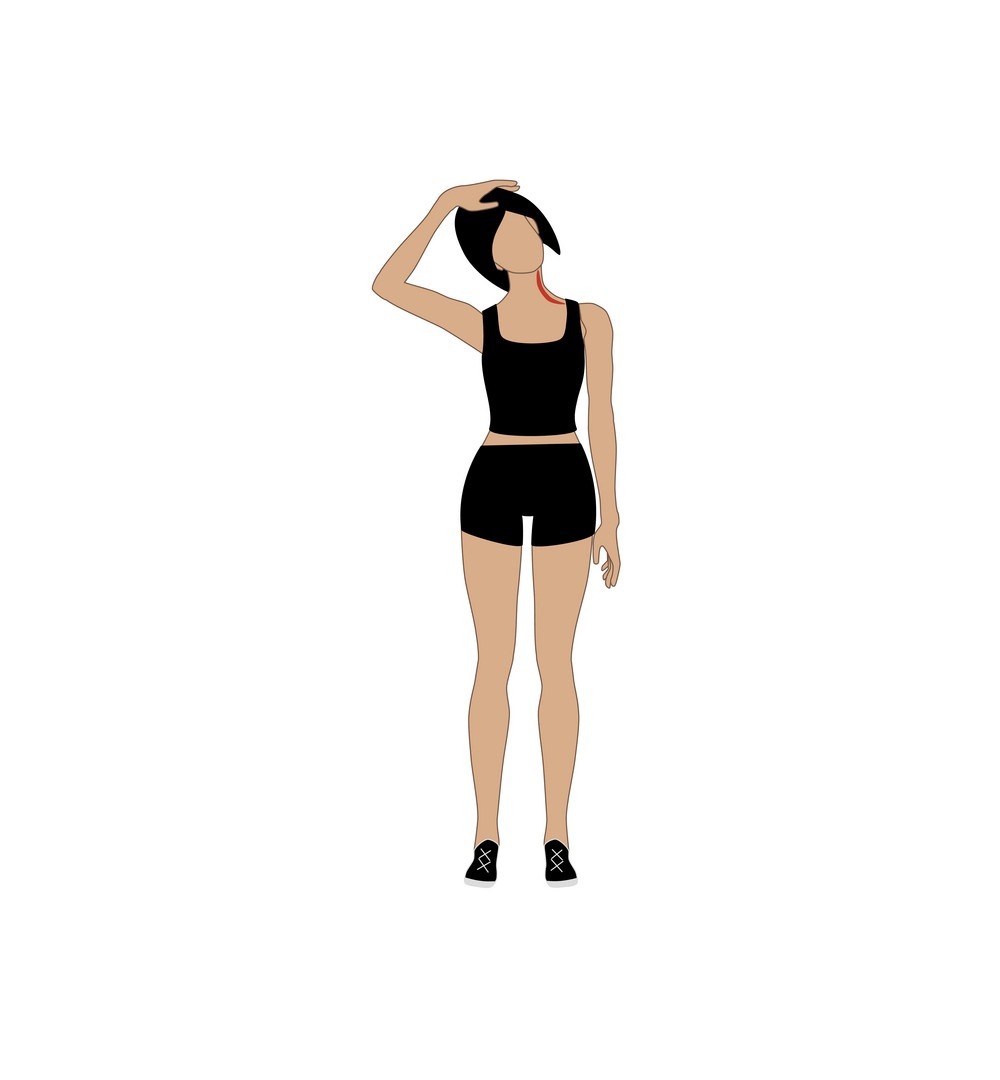 neck stretch exercise vector 25198686 1