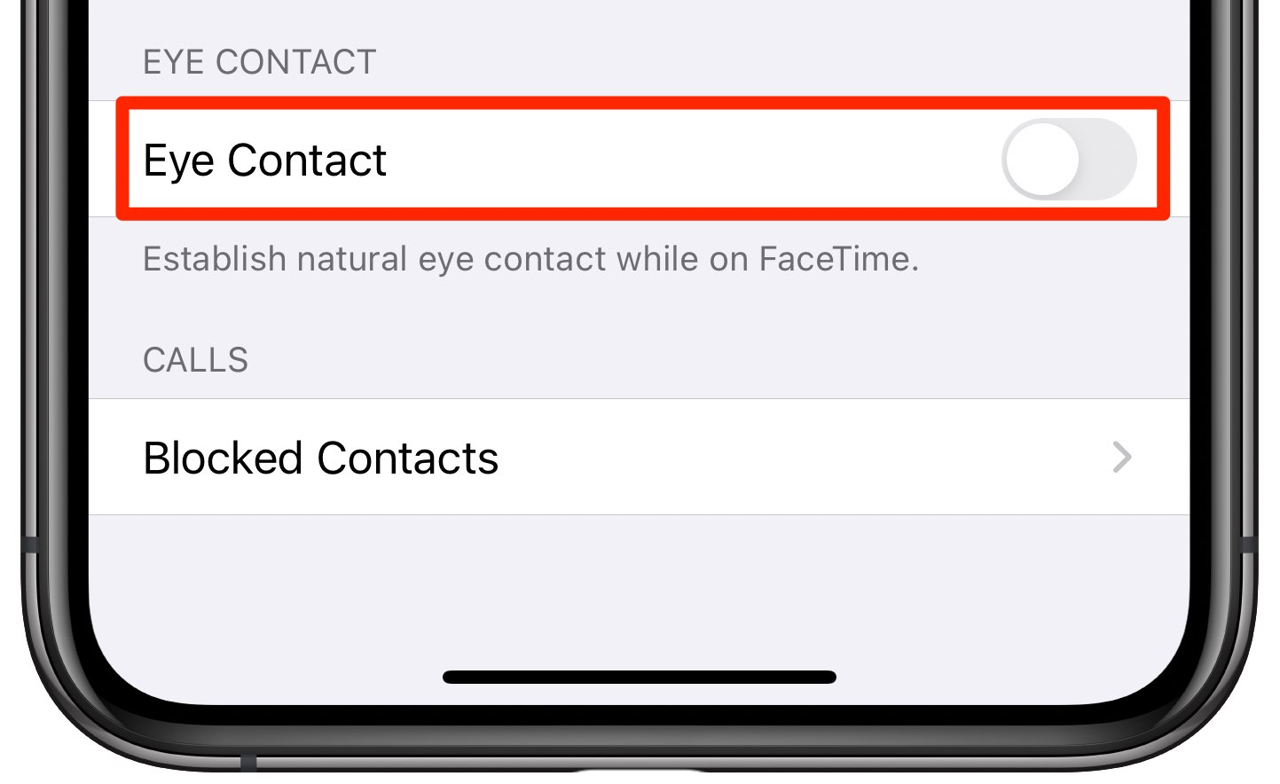 iOS 14 FaceTime settings Eye Contact disabled iPhone 001