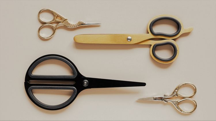 assorted scissors