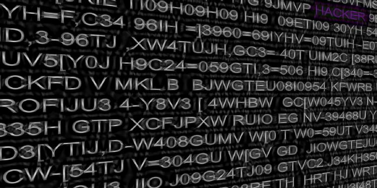 Hacktivism چیست و چه تفاوتی با هک دارد؟ 3