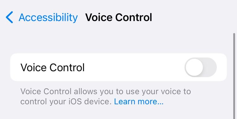 iphone voice control