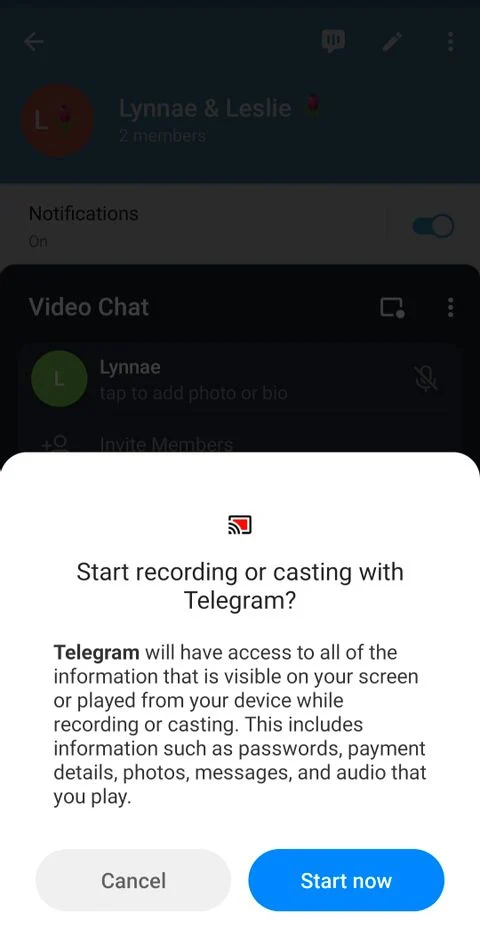 آشنایی با مهم‌ترین قابلیت‌های تلگرام برای ویدیو کال 12