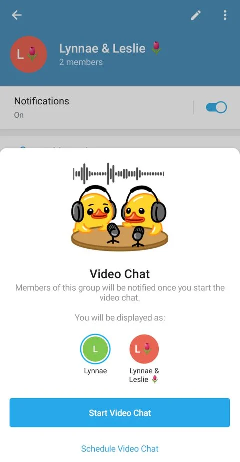 آشنایی با مهم‌ترین قابلیت‌های تلگرام برای ویدیو کال 7