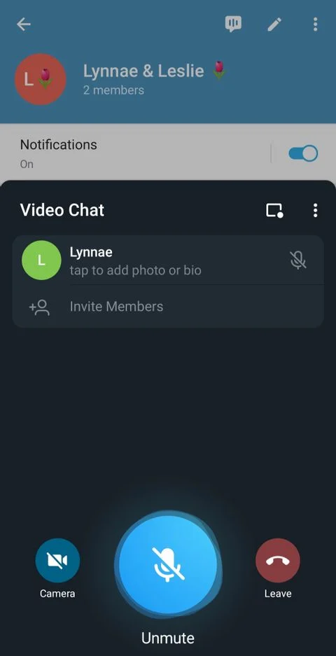 آشنایی با مهم‌ترین قابلیت‌های تلگرام برای ویدیو کال 8