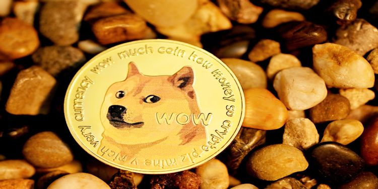 Dogecoin Should You Sell
