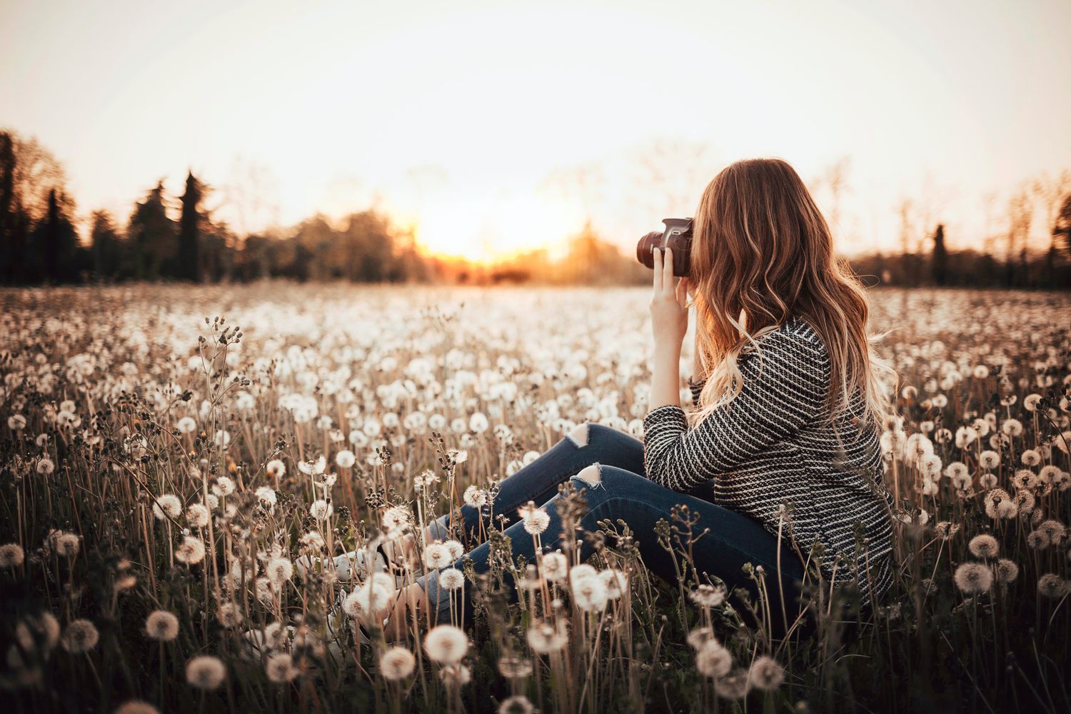 Photographer in a Field