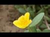 تغییرات جدید در رابط کاربری نمایشگر تصاویر گوگل فوتوز 3 تغییرات جدید در رابط کاربری نمایشگر تصاویر گوگل فوتوز2 1 -