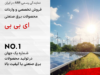 image -